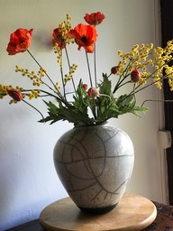 IMG_2645